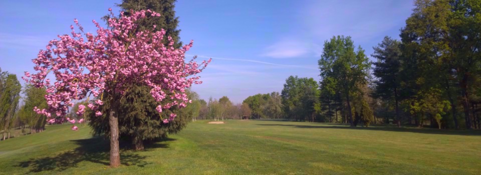 Girasoli Golf Club copertina